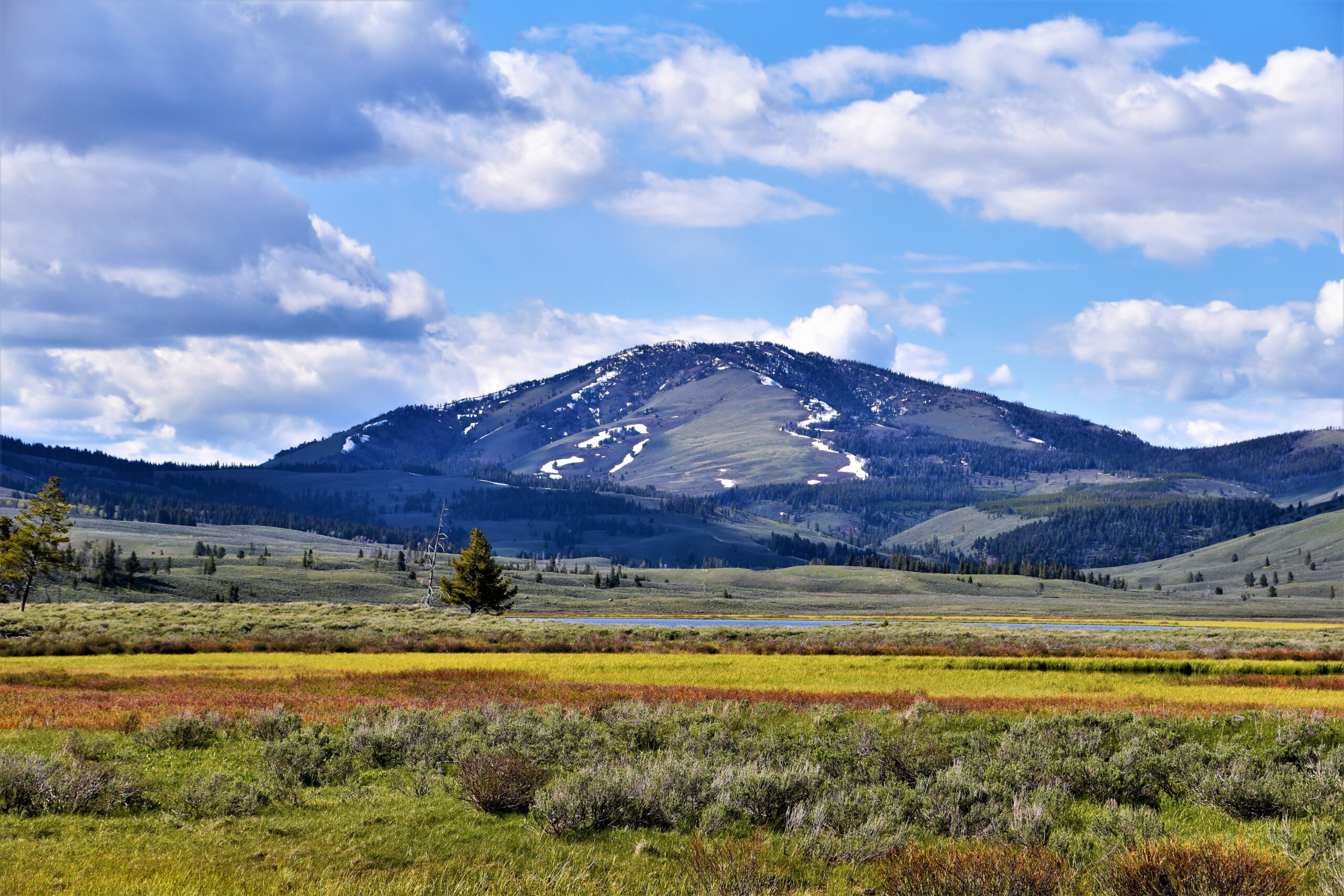 Biggest Ranch In The World - brap20q