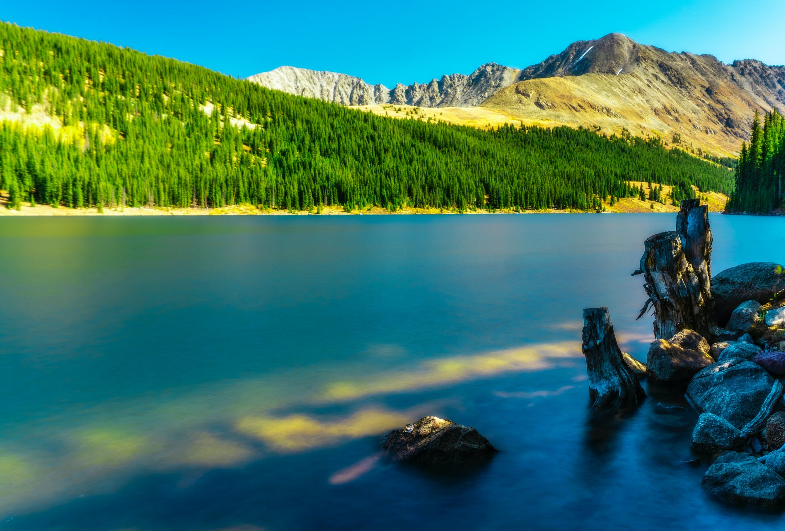 denver nature scenery lake and forest