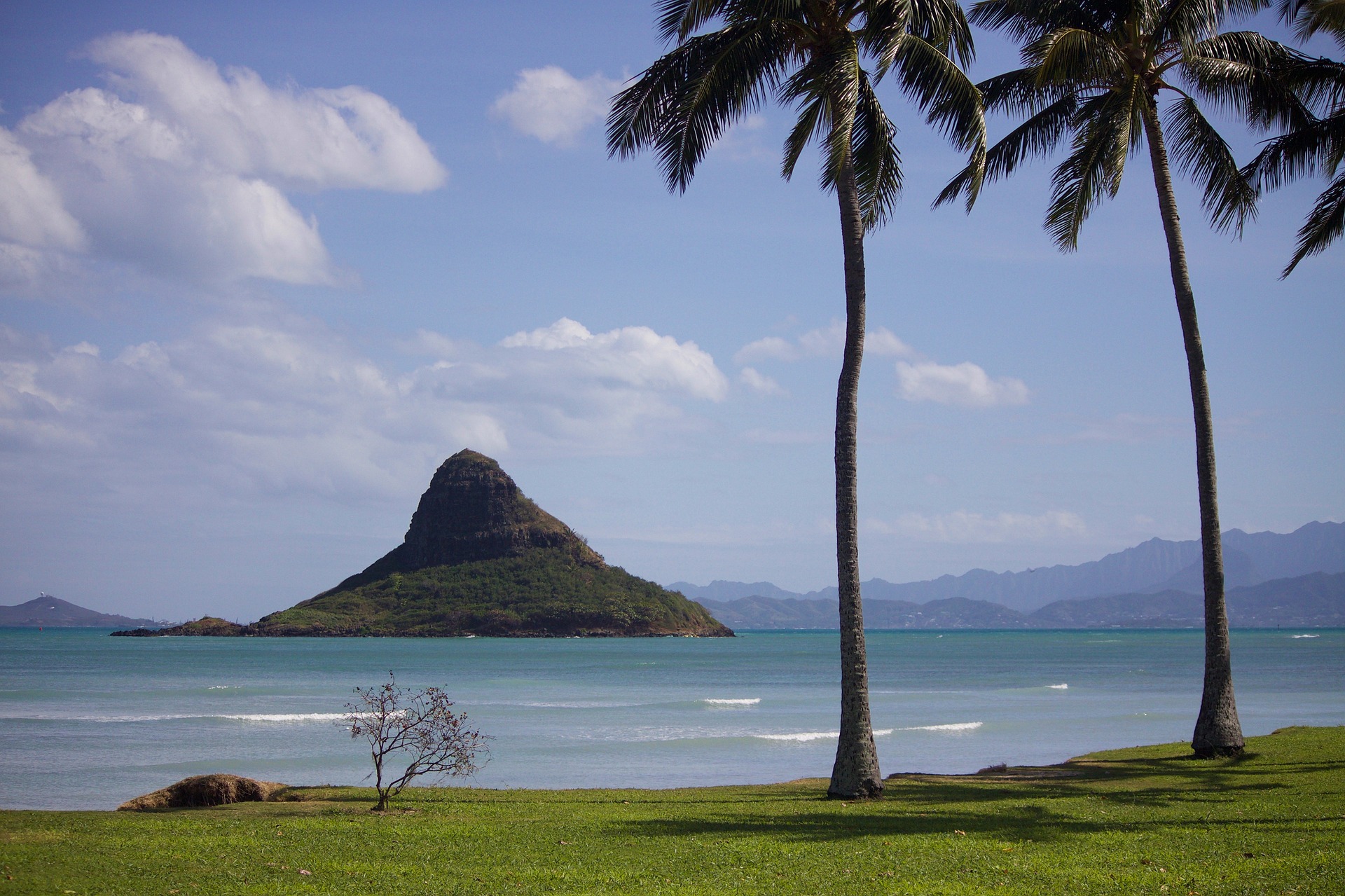 palm trees frame a rock formation in the ocean on the coast of hawaii