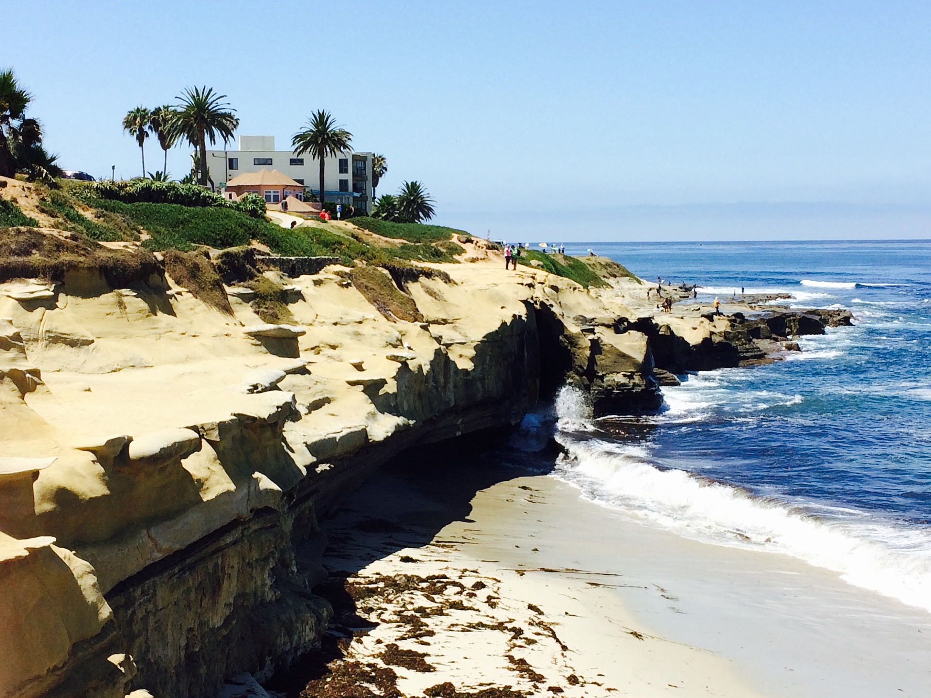 la jolla cove