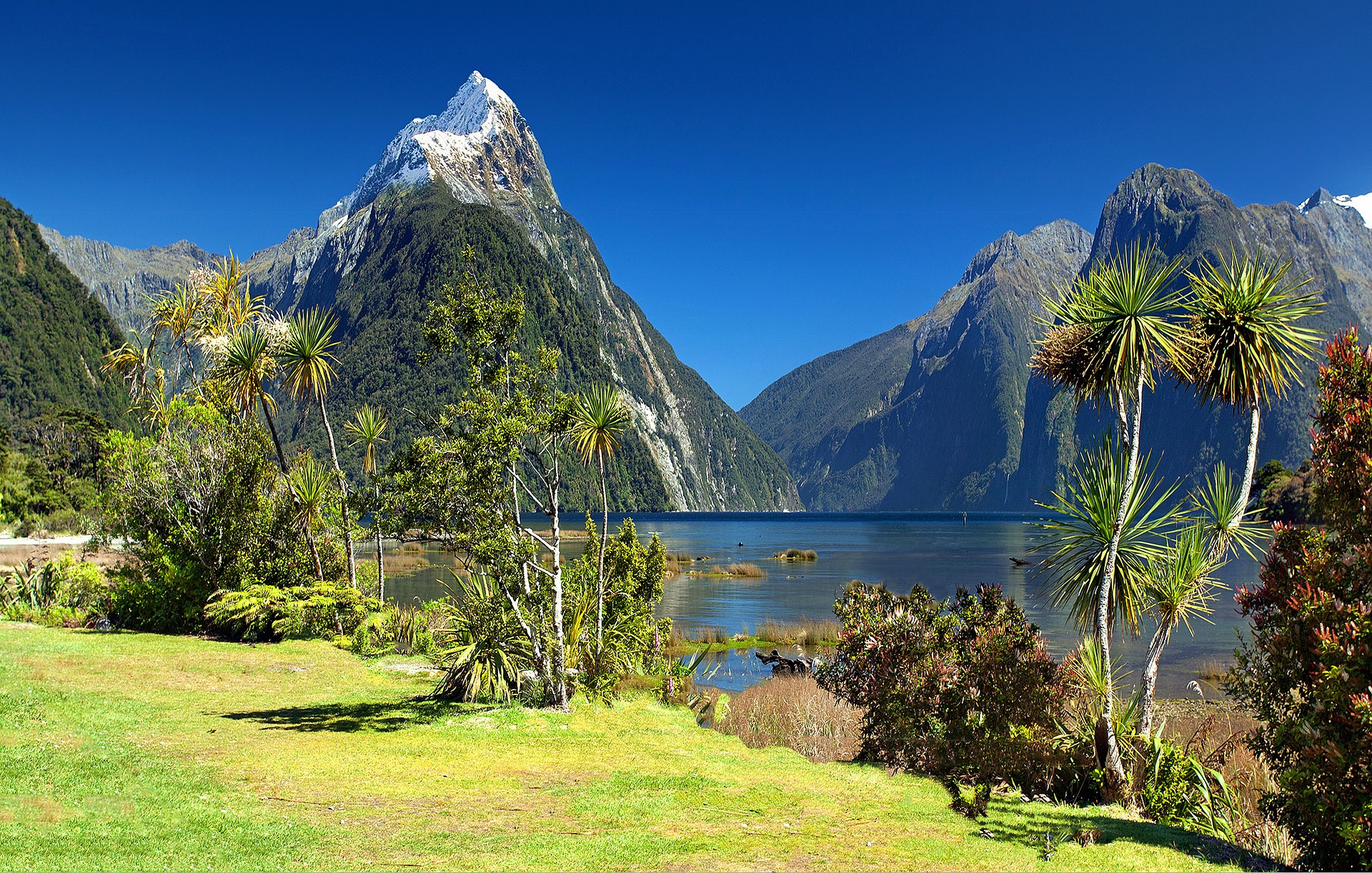 pasture, mountains and a lake in new zealand